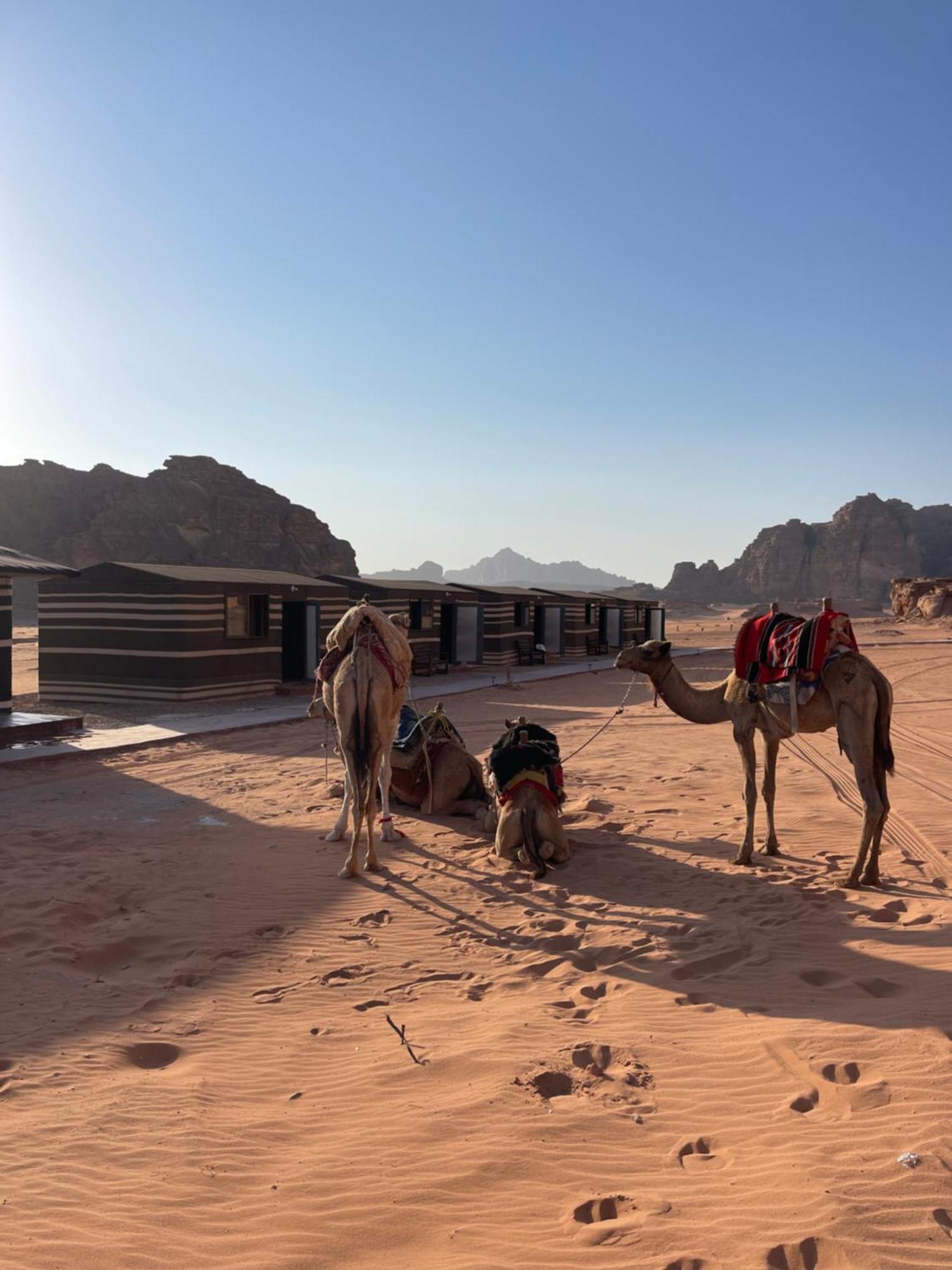 Wadi Rum Star Camp ภายนอก รูปภาพ